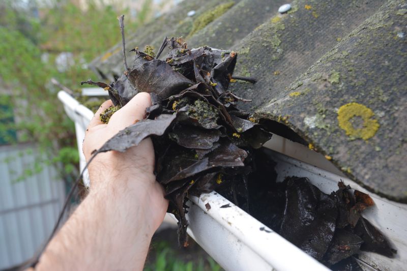 Gutter Leaves Removal in Monmouth County, NJ